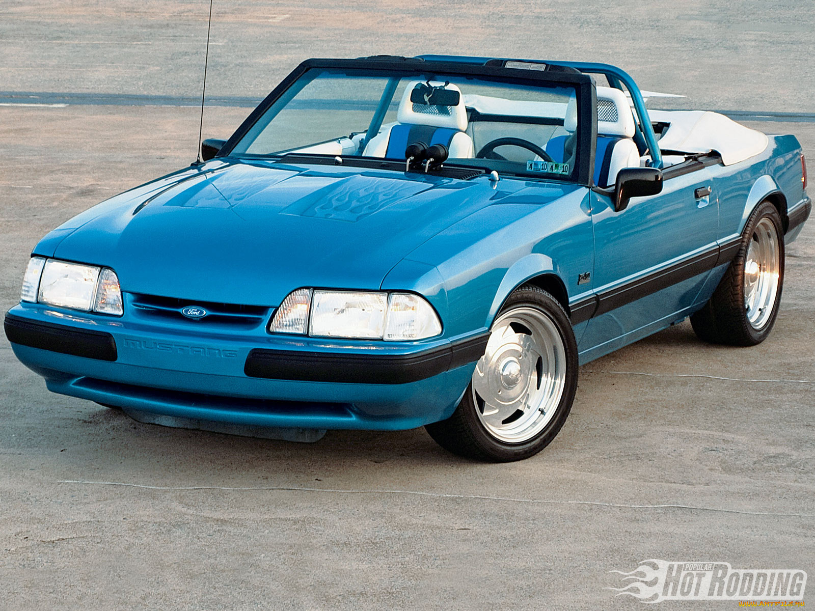 , mustang